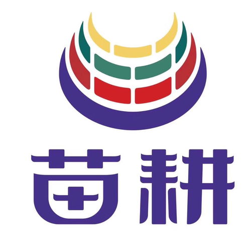 根植齐鲁，深耕餐饮——山东苗耕餐饮管理的匠心之路